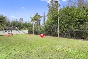 Dog park- tampa apartments